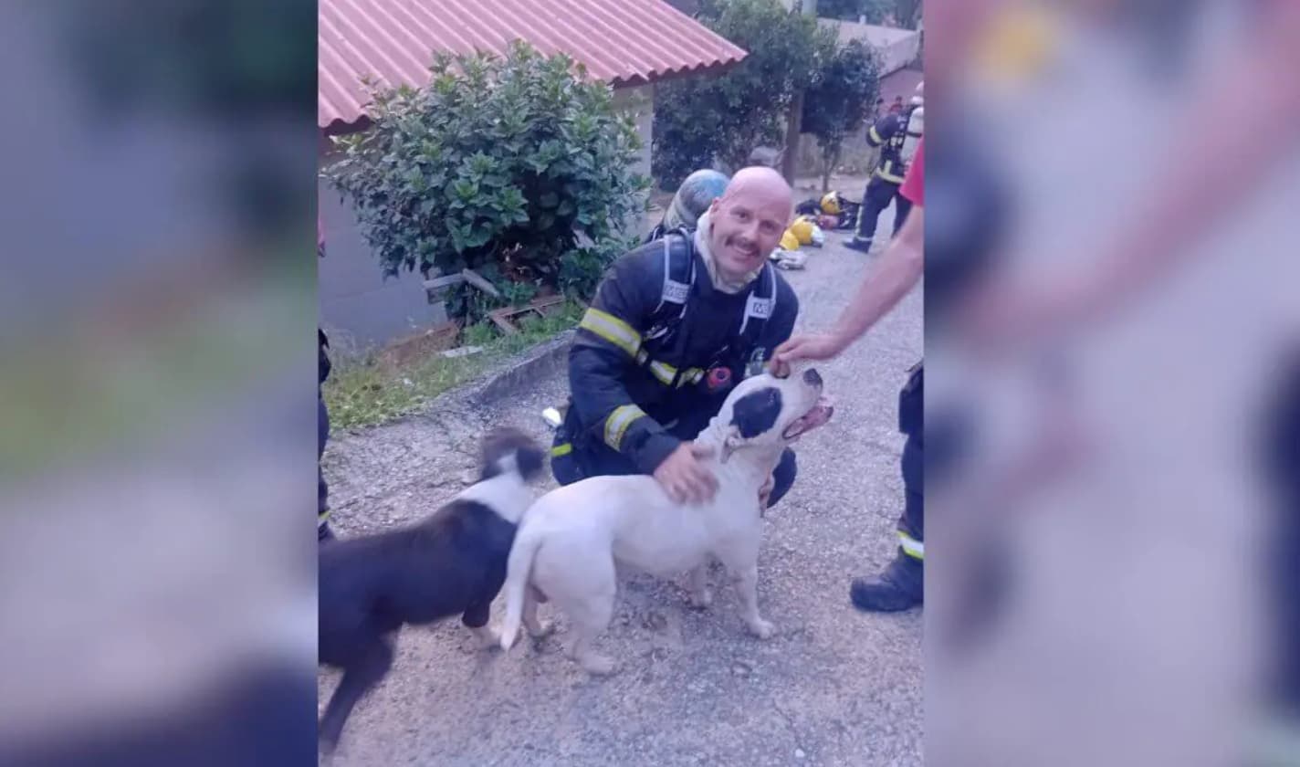 Bombeiros resgatam cães presos em banheiro durante incêndio em Biguaçu