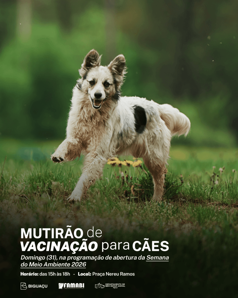DIBEA de Biguaçu realiza mutirão de vacinação de cães neste domingo (31)