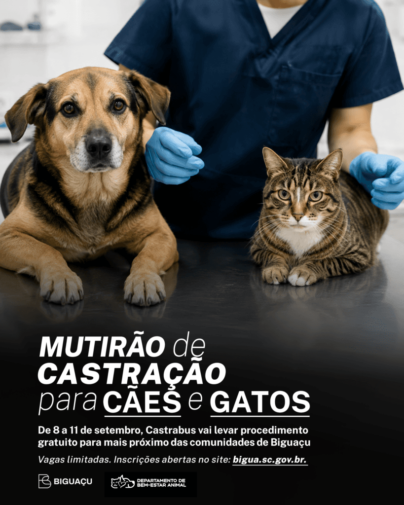 Biguaçu promove mutirão com 600 castrações gratuitas de cães e gatos em setembro